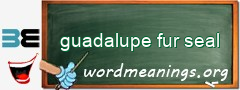 WordMeaning blackboard for guadalupe fur seal
